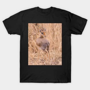 Dik Dik T-Shirt